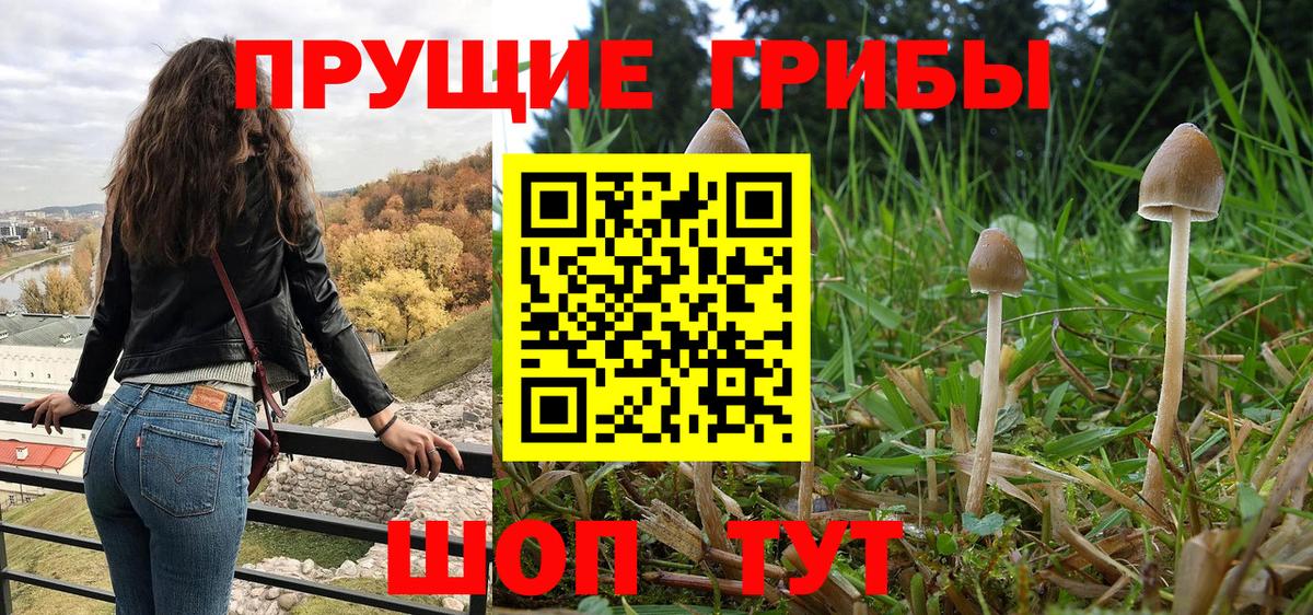 Псилоцибиновые грибы Magic Shrooms Костомукша